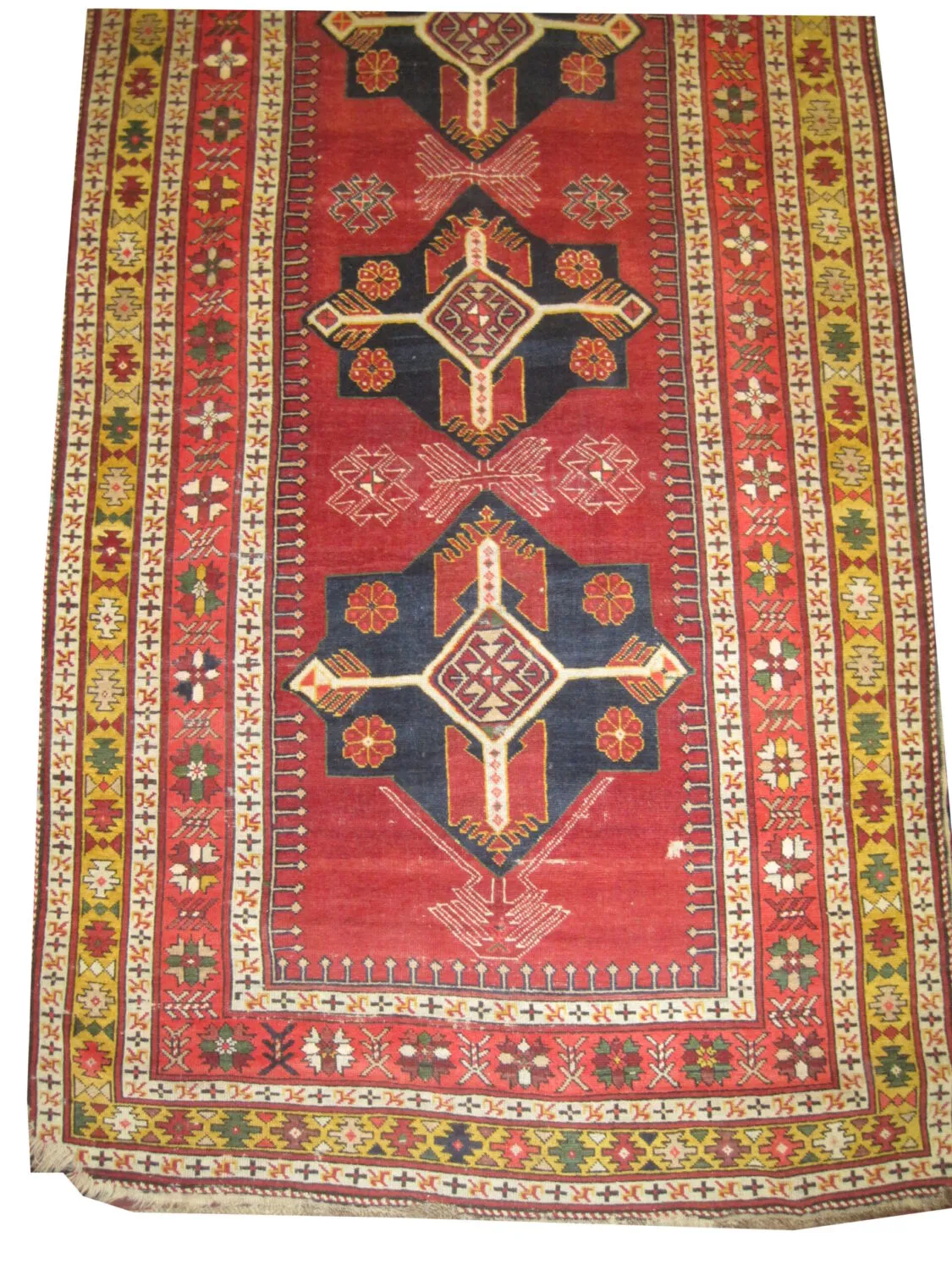Akstafa Caucasian - Image 3