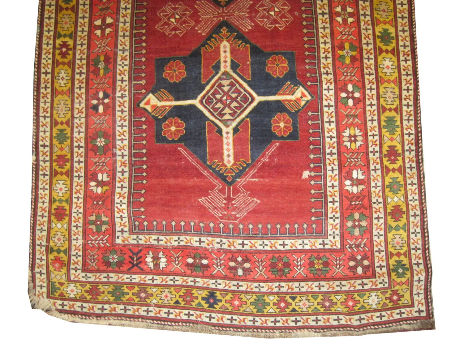 Akstafa Caucasian - Image 2