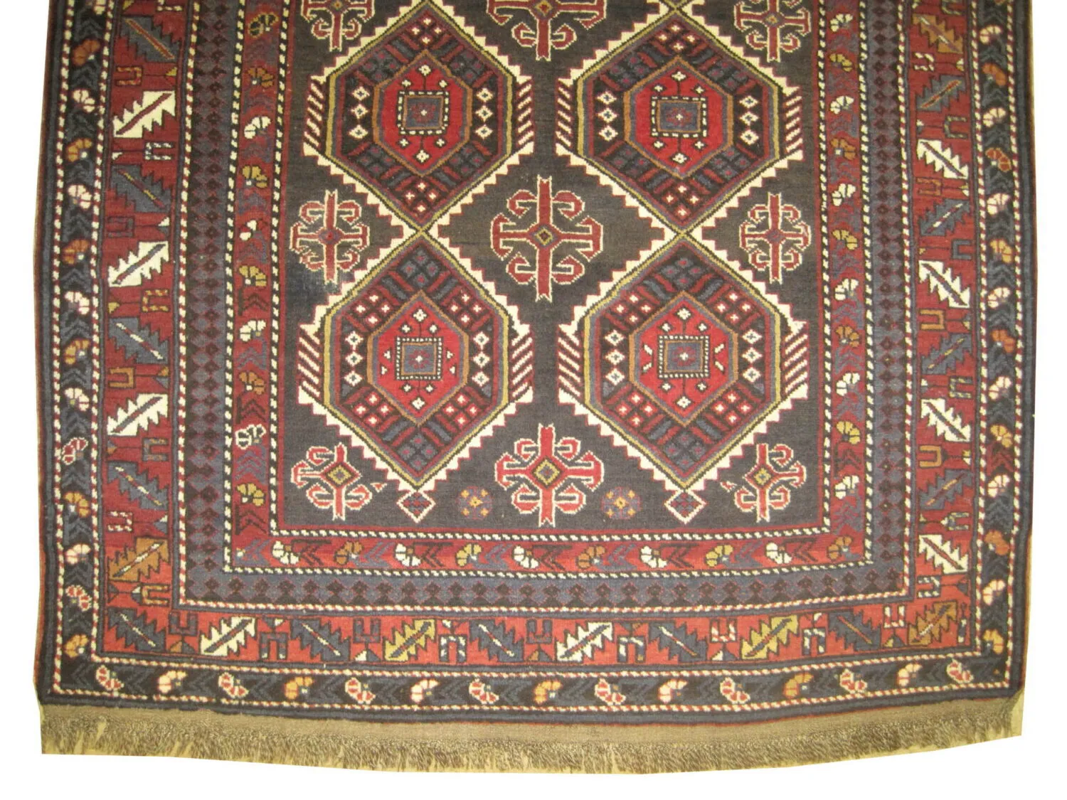 Shirvan Caucasian - Image 3