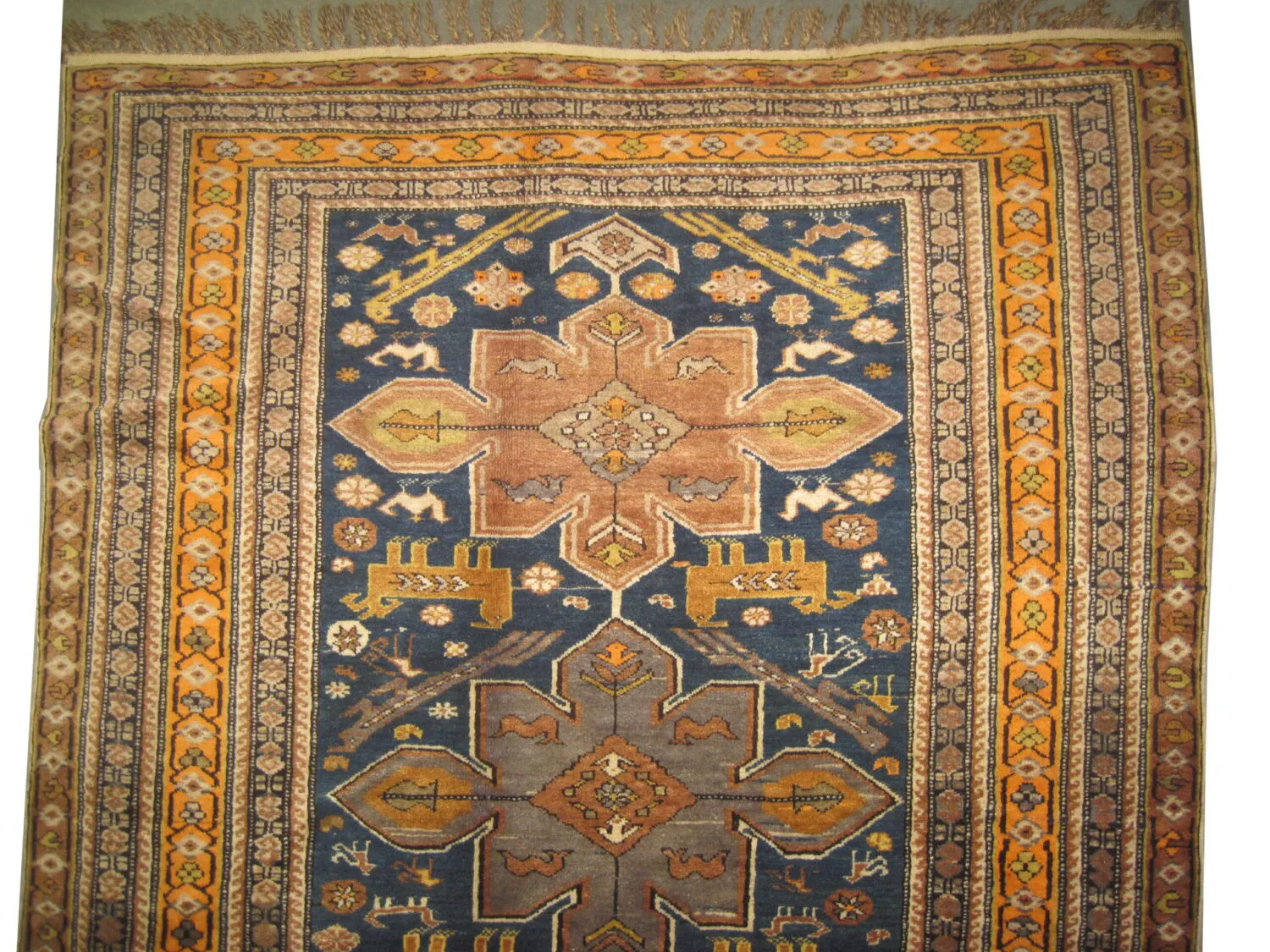 Dagstan Caucasian - Image 2