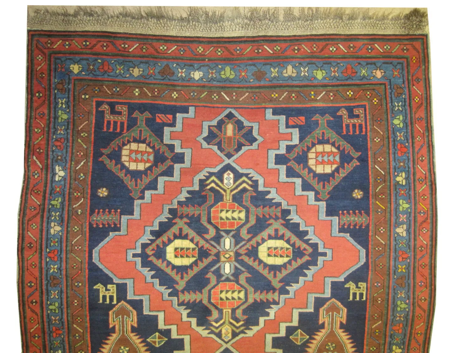 Chikli Kazak Caucasian - Image 3