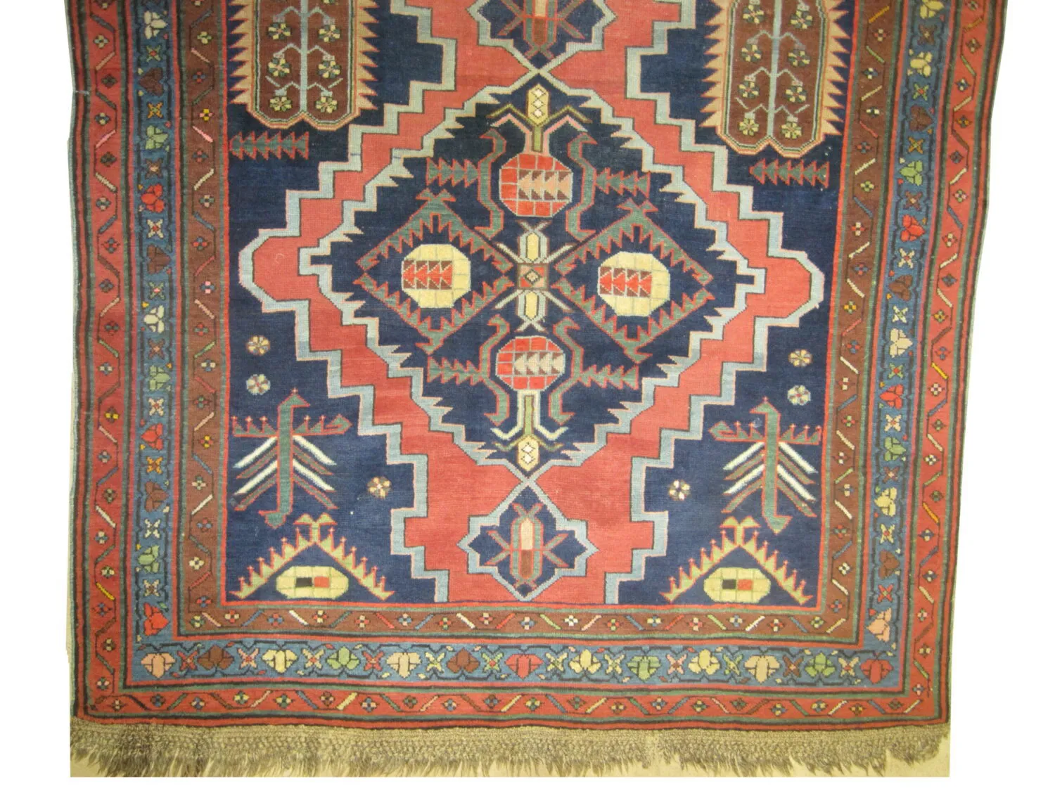 Chikli Kazak Caucasian - Image 2