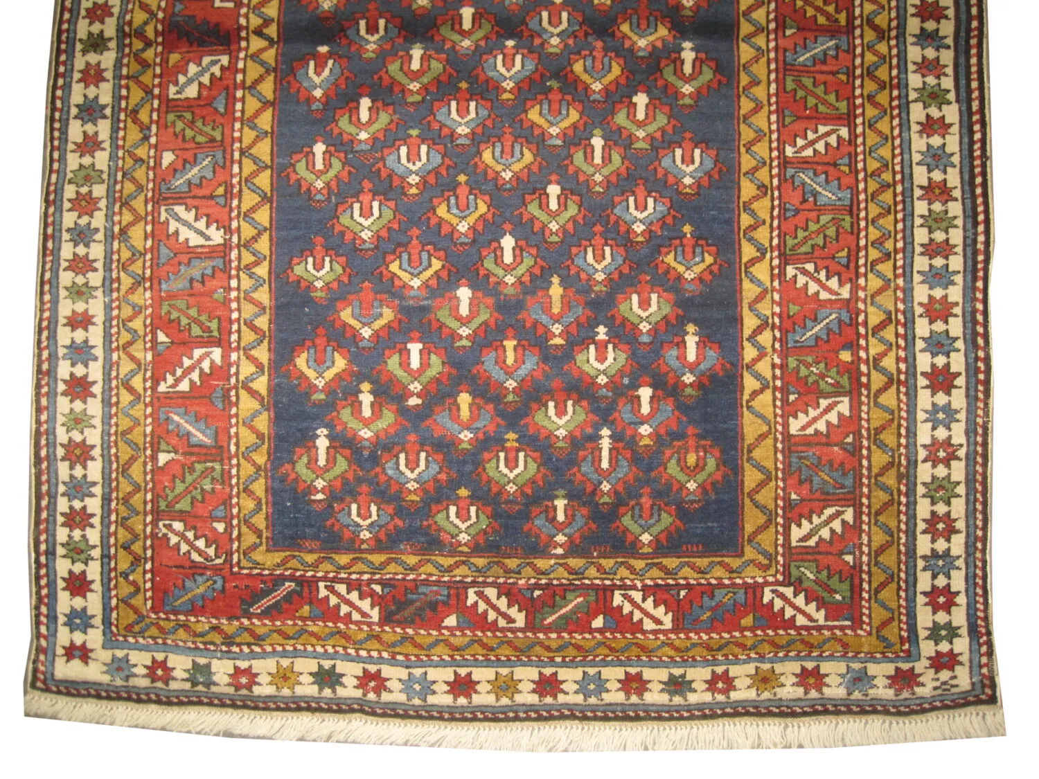 Shirvan Caucasian - Image 3