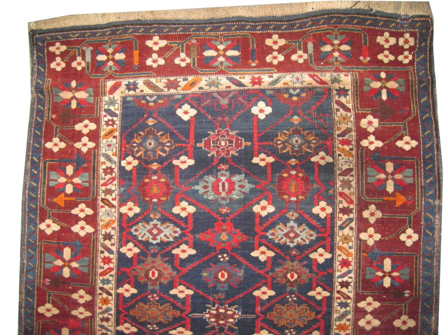 Kouba Caucasian - Image 2