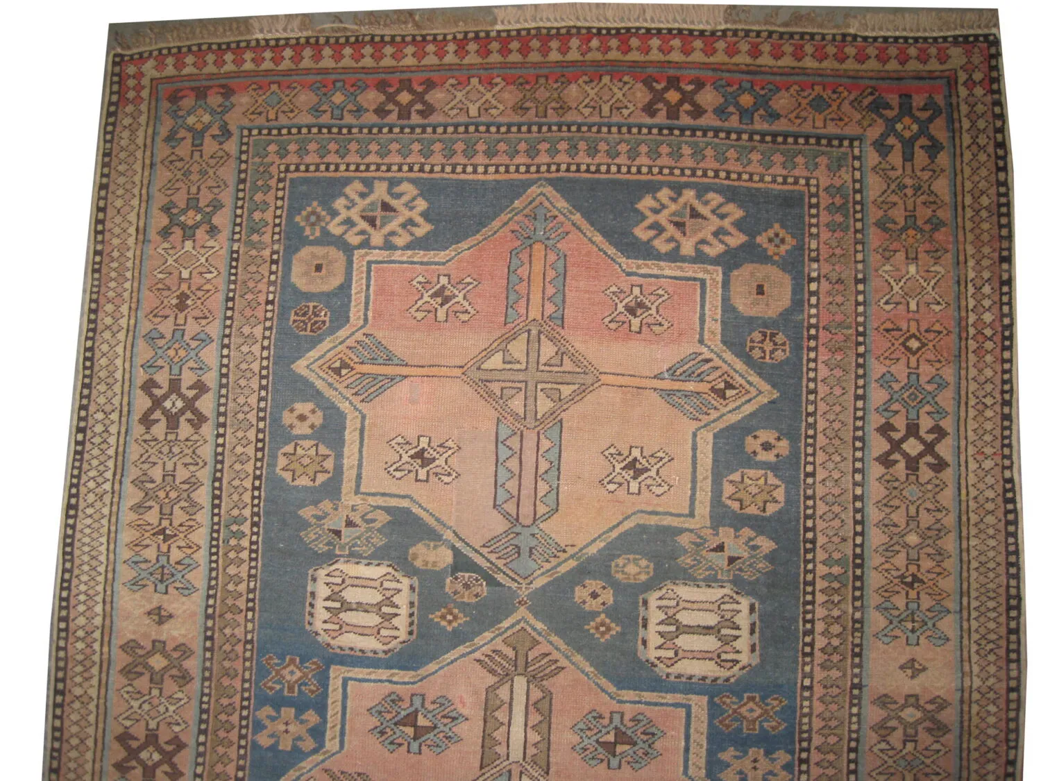 Shirvan Caucasian - Image 2