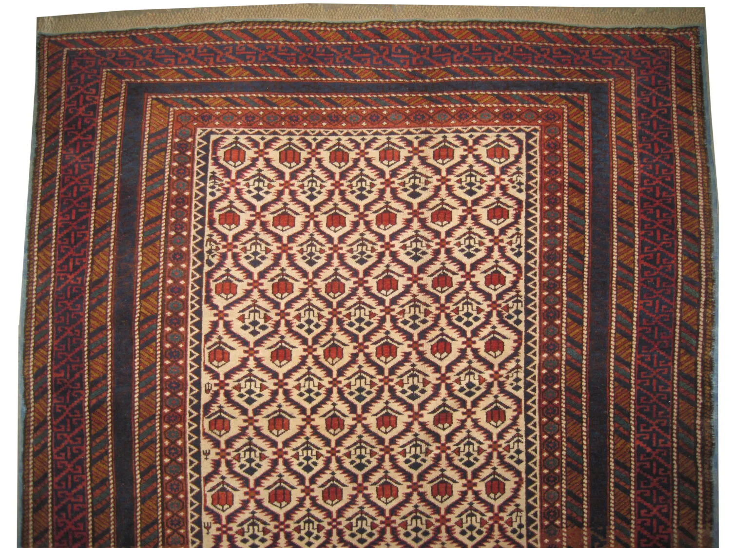 Kouba Caucasian - Image 2