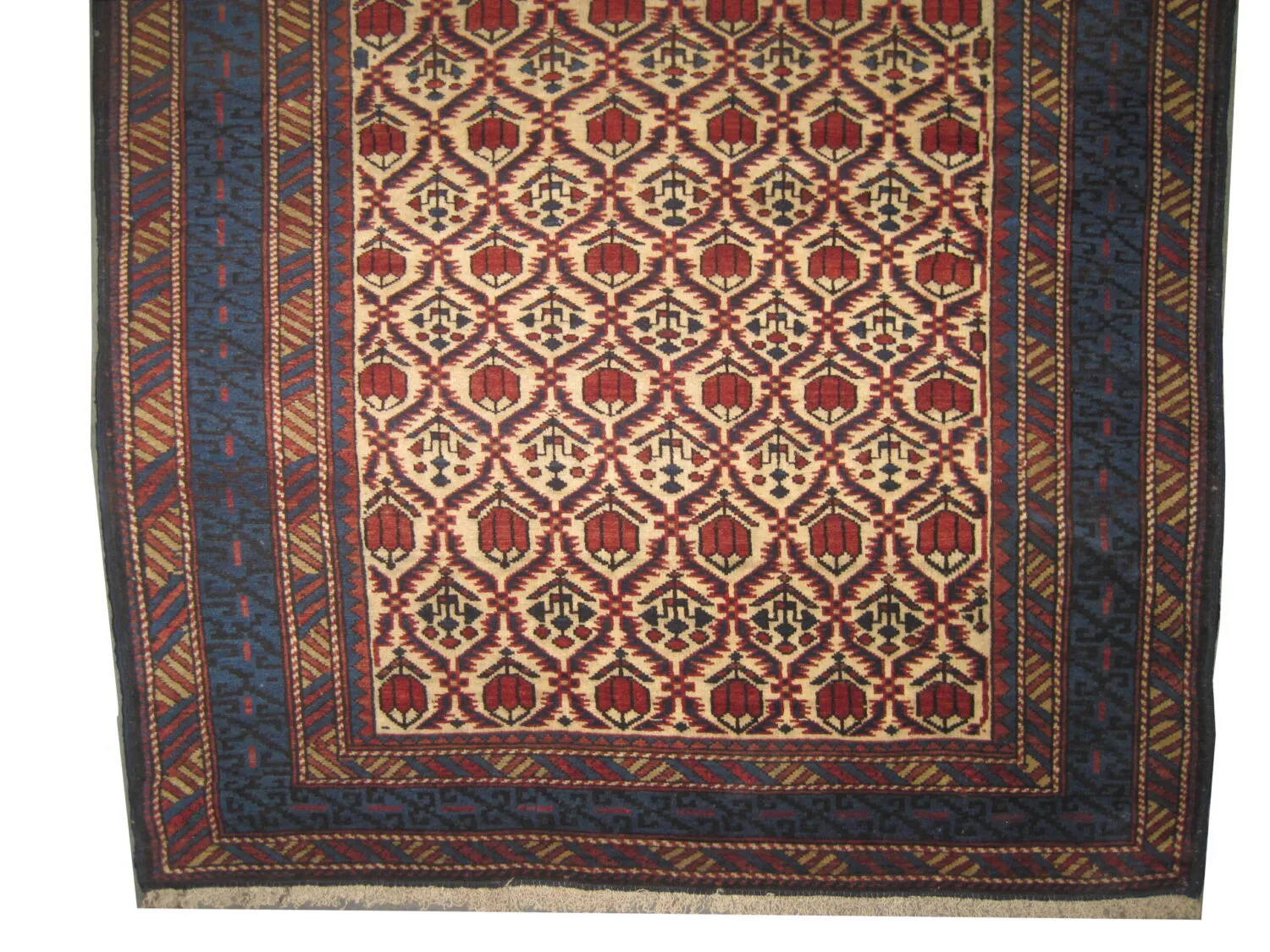 Kouba Caucasian - Image 3