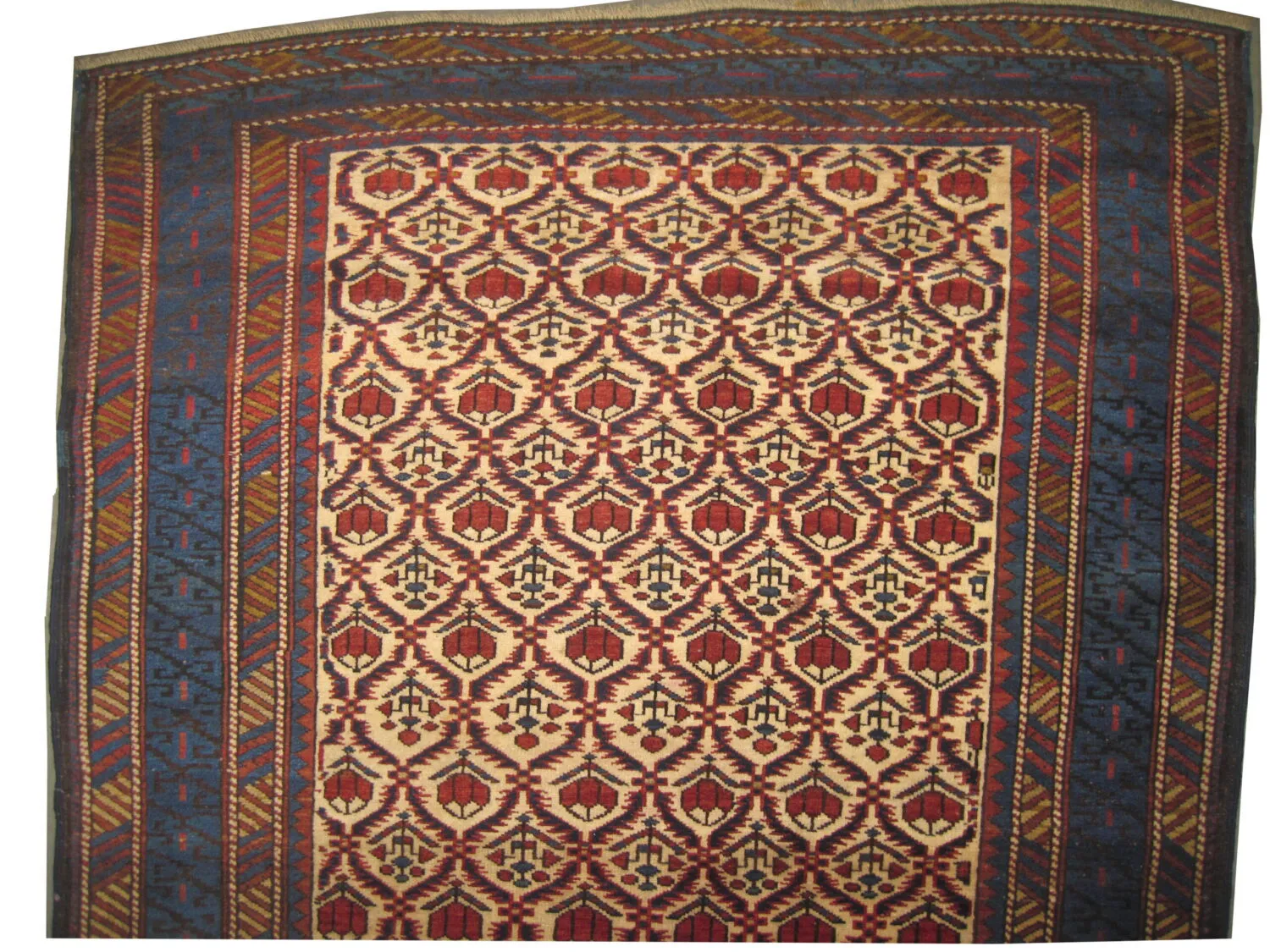 Kouba Caucasian - Image 2