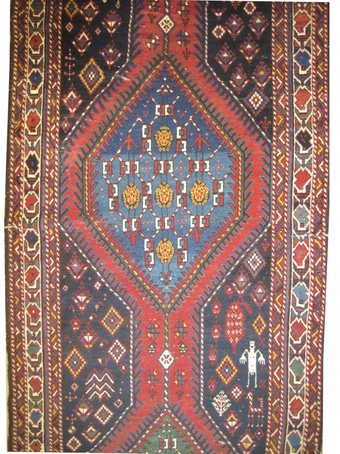 Surahani Caucasian - Image 3