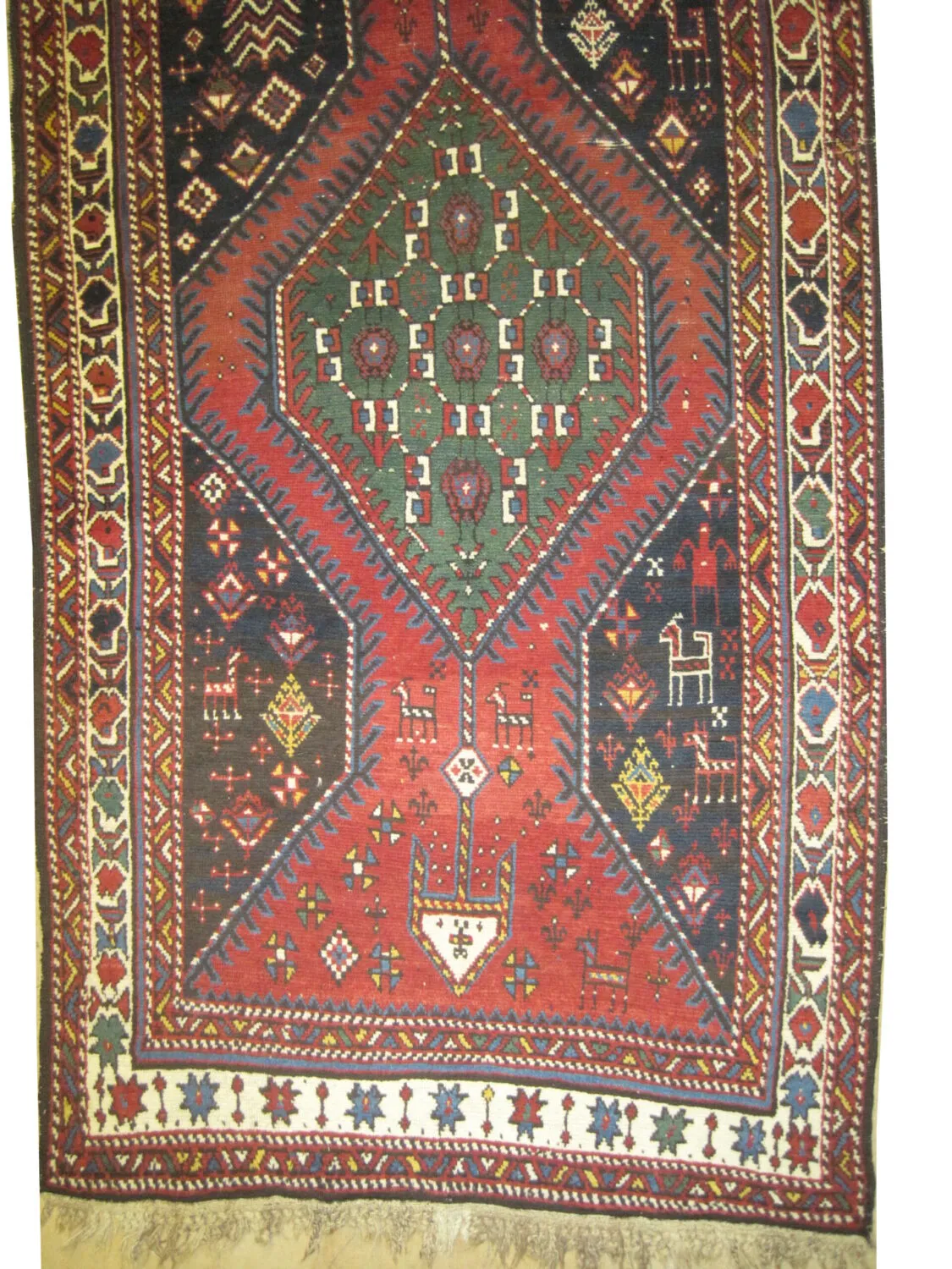 Surahani Caucasian - Image 2