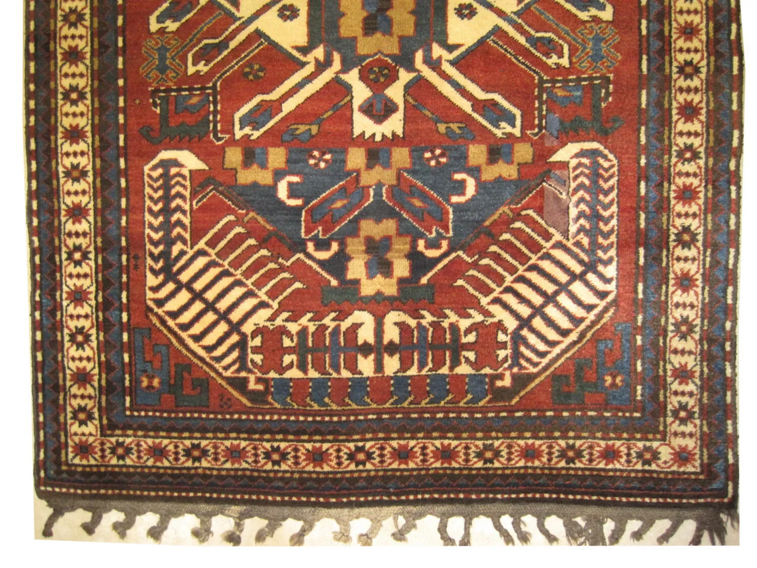 Chelaberd Caucasian - Image 3