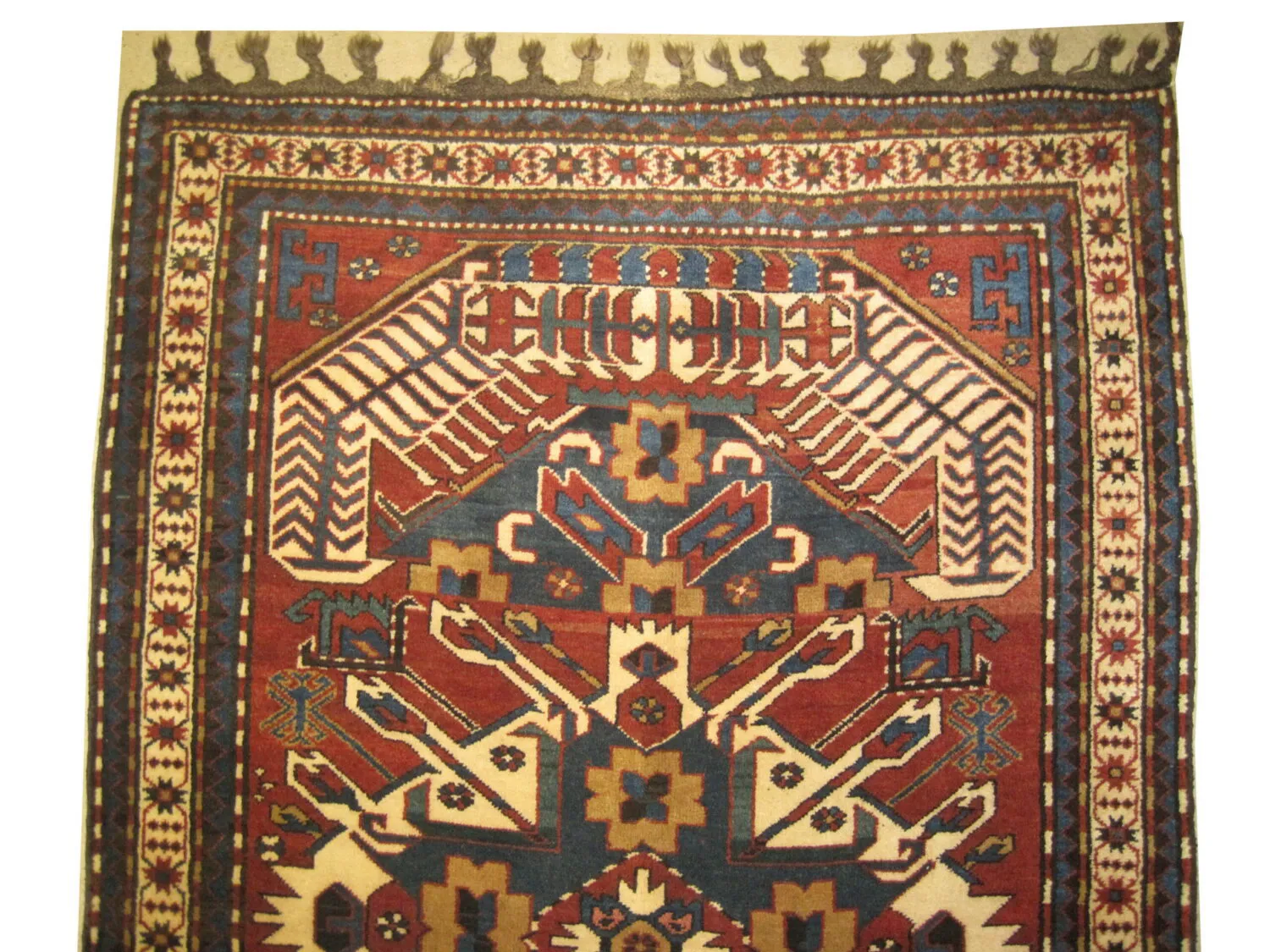 Chelaberd Caucasian - Image 2