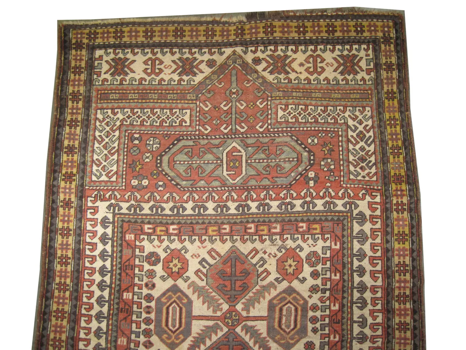 Karatchoph Caucasian - Image 2
