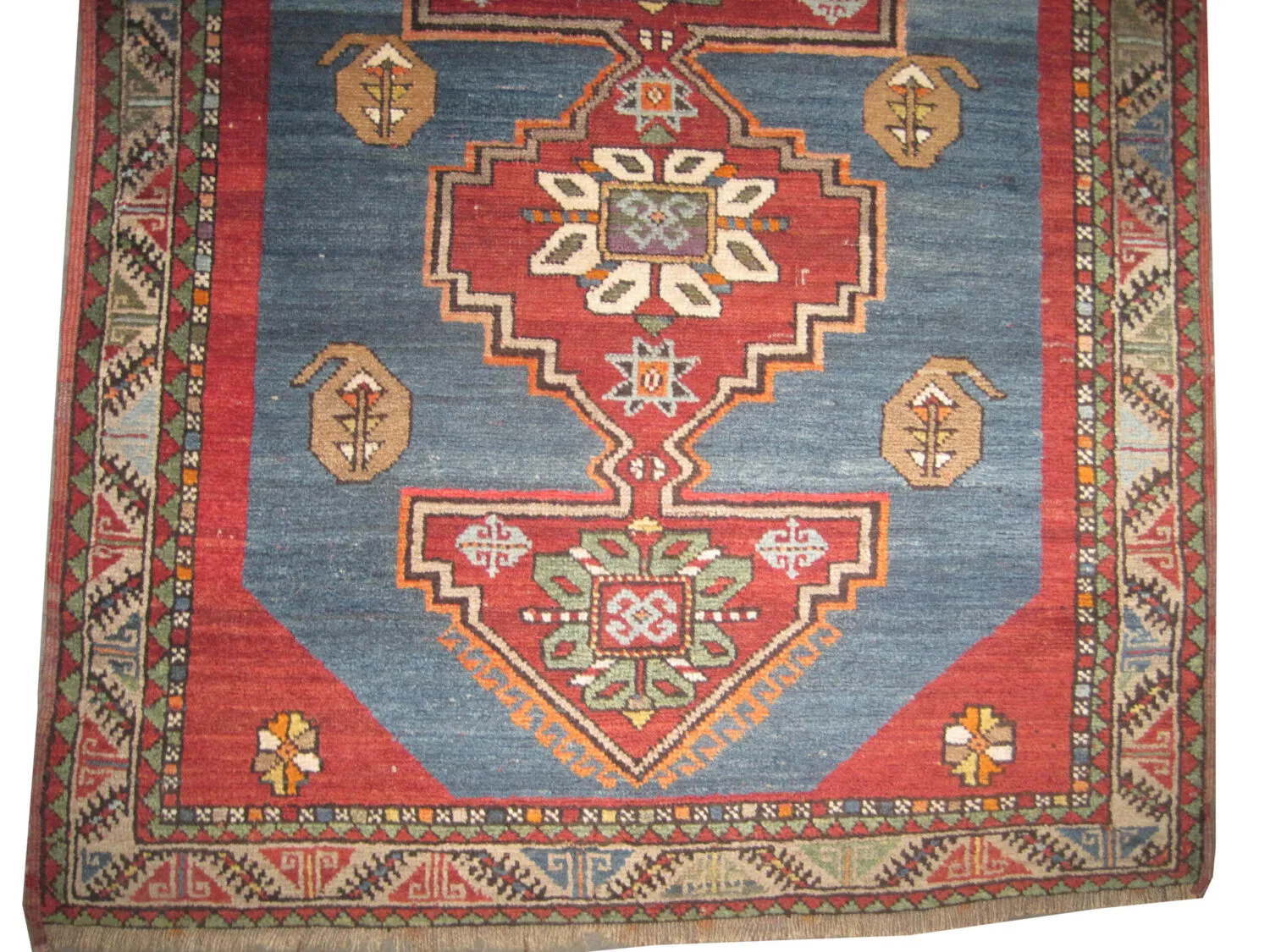 Sevan Kazak Caucasian - Image 3