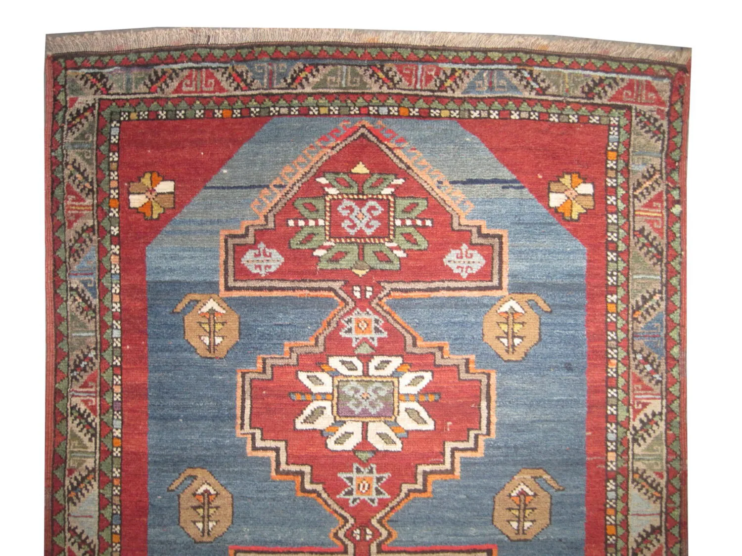 Sevan Kazak Caucasian - Image 2
