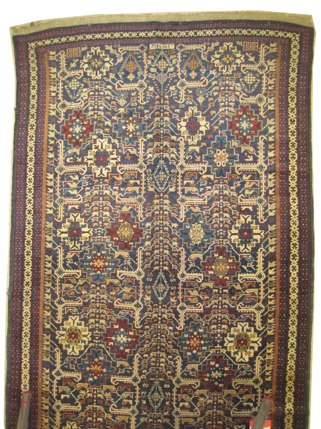 Kouba Caucasian - Image 2