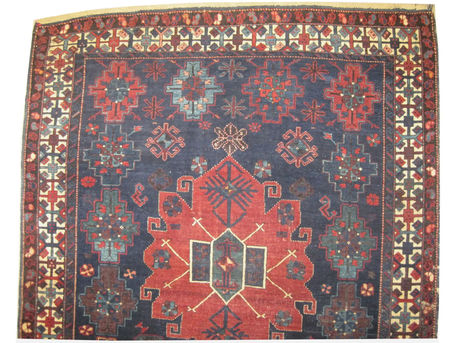 Kouba Caucasian - Image 3