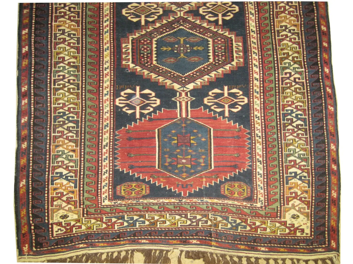 Shirvan Caucasian - Image 3