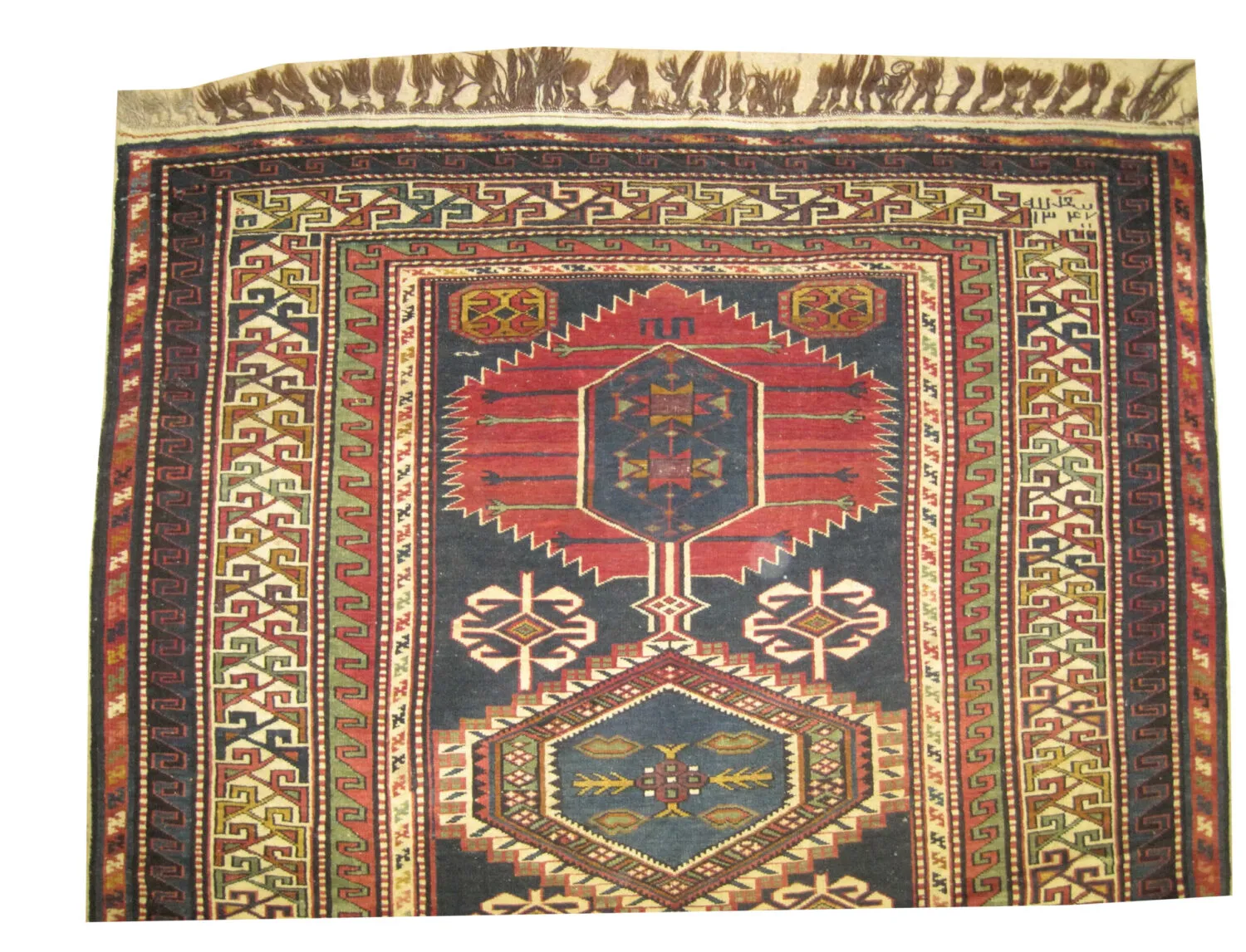 Shirvan Caucasian - Image 2