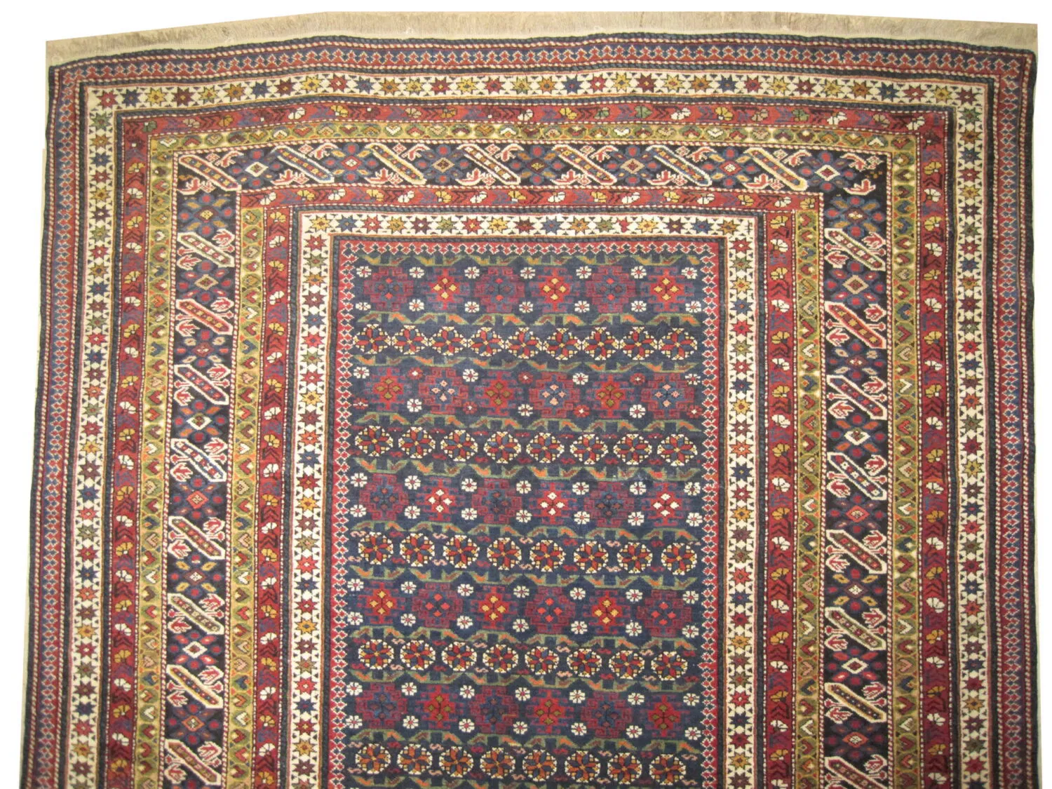Chichi Caucasian - Image 2