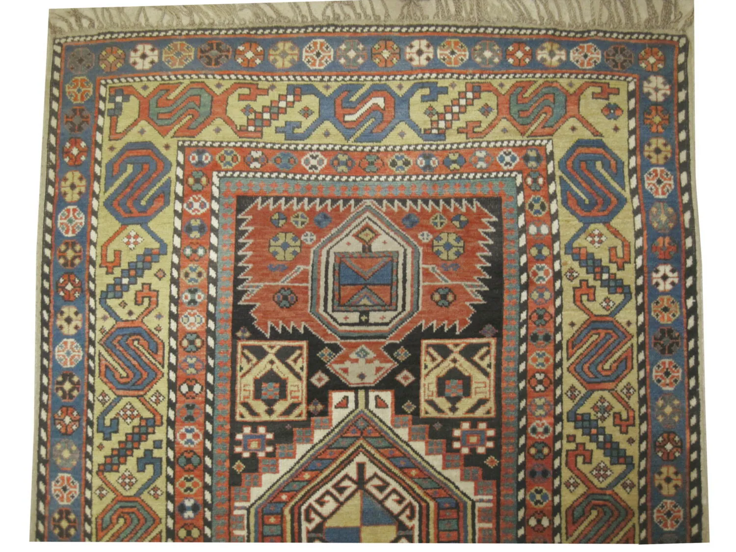 Shirvan Caucasian - Image 3