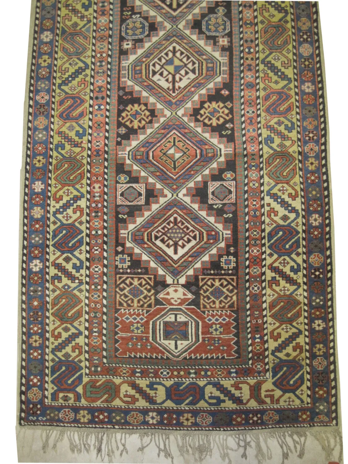 Shirvan Caucasian - Image 2