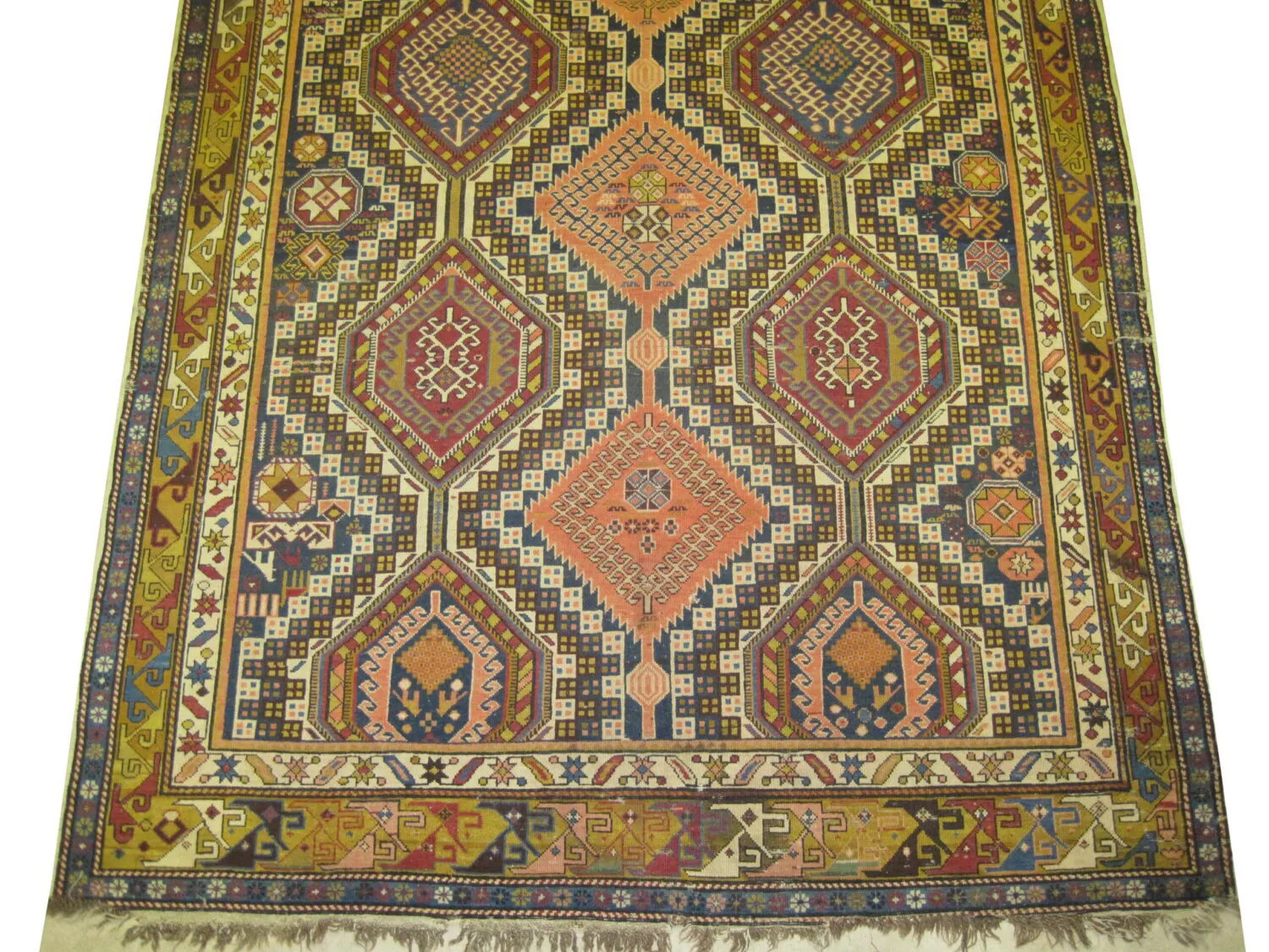 Shirvan Caucasian - Image 3