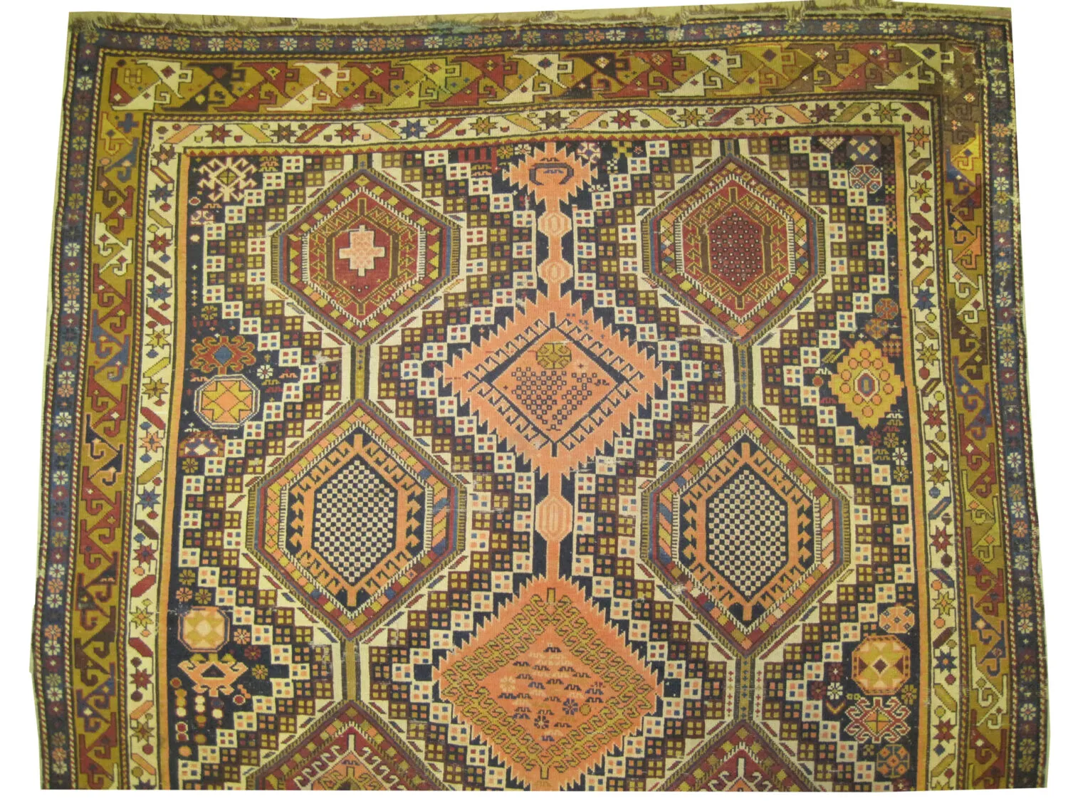 Shirvan Caucasian - Image 2