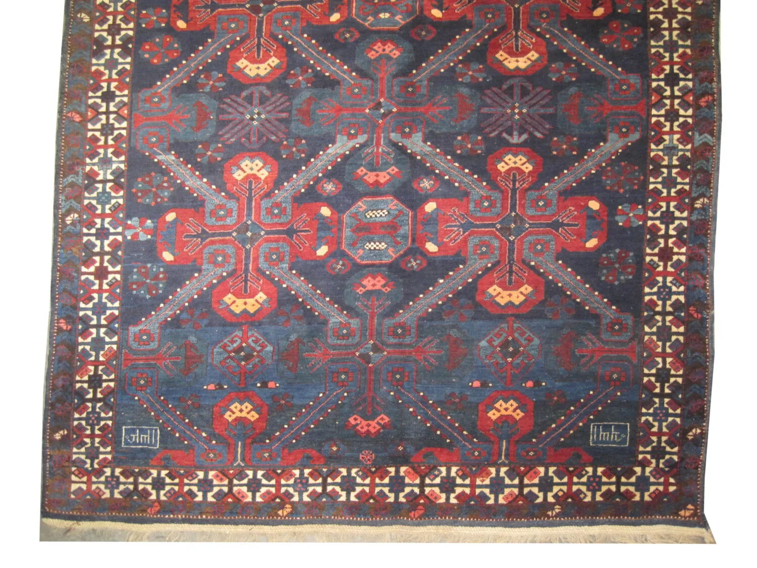 Sejshour Caucasian - Image 3