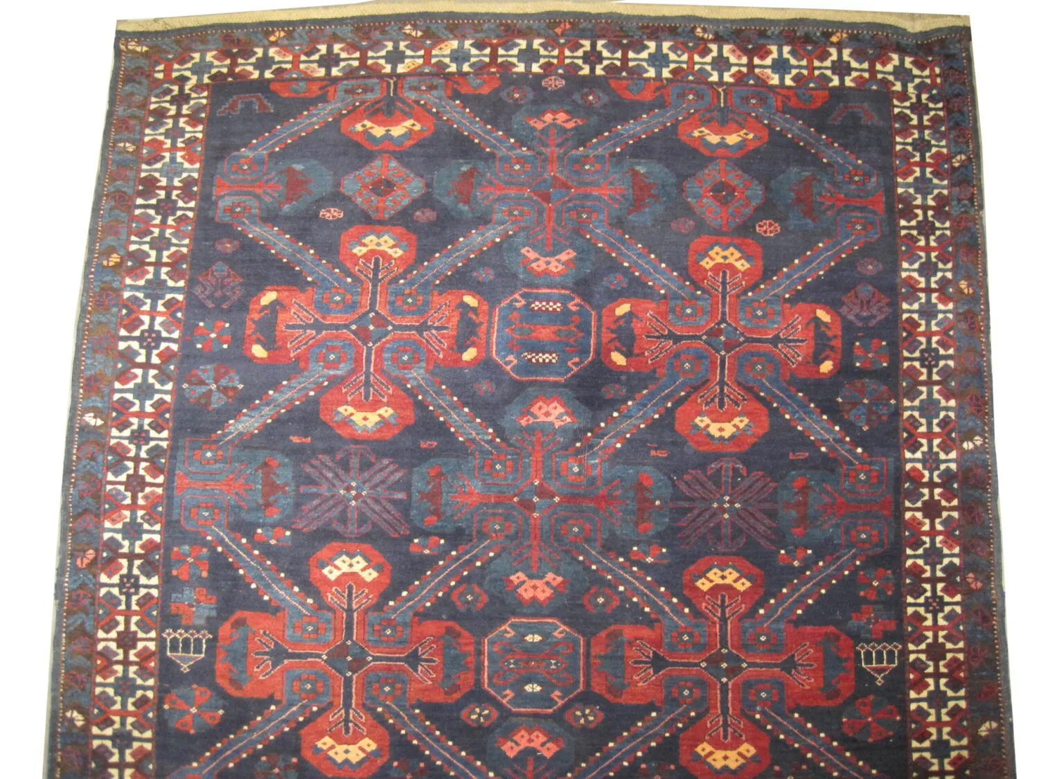 Sejshour Caucasian - Image 2
