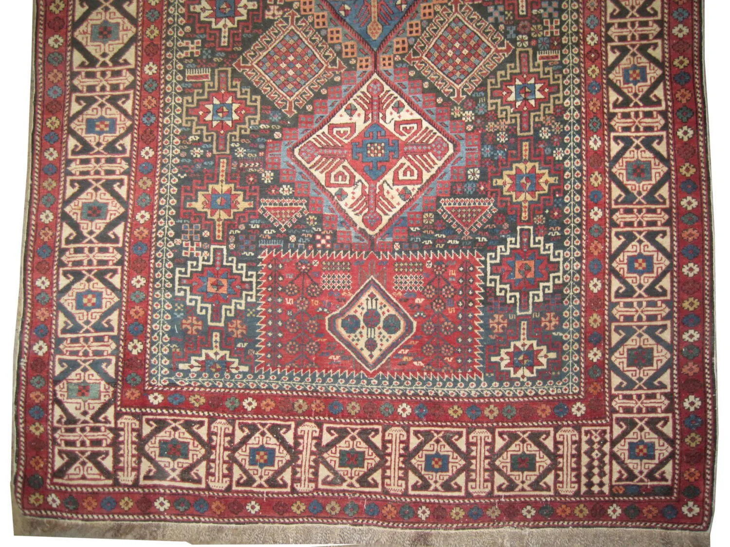 Shirvan Caucasian - Image 3