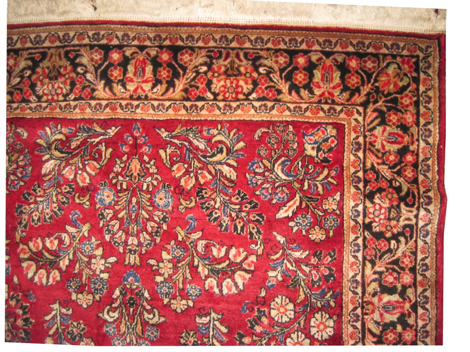 Sarouk Persian - Image 2