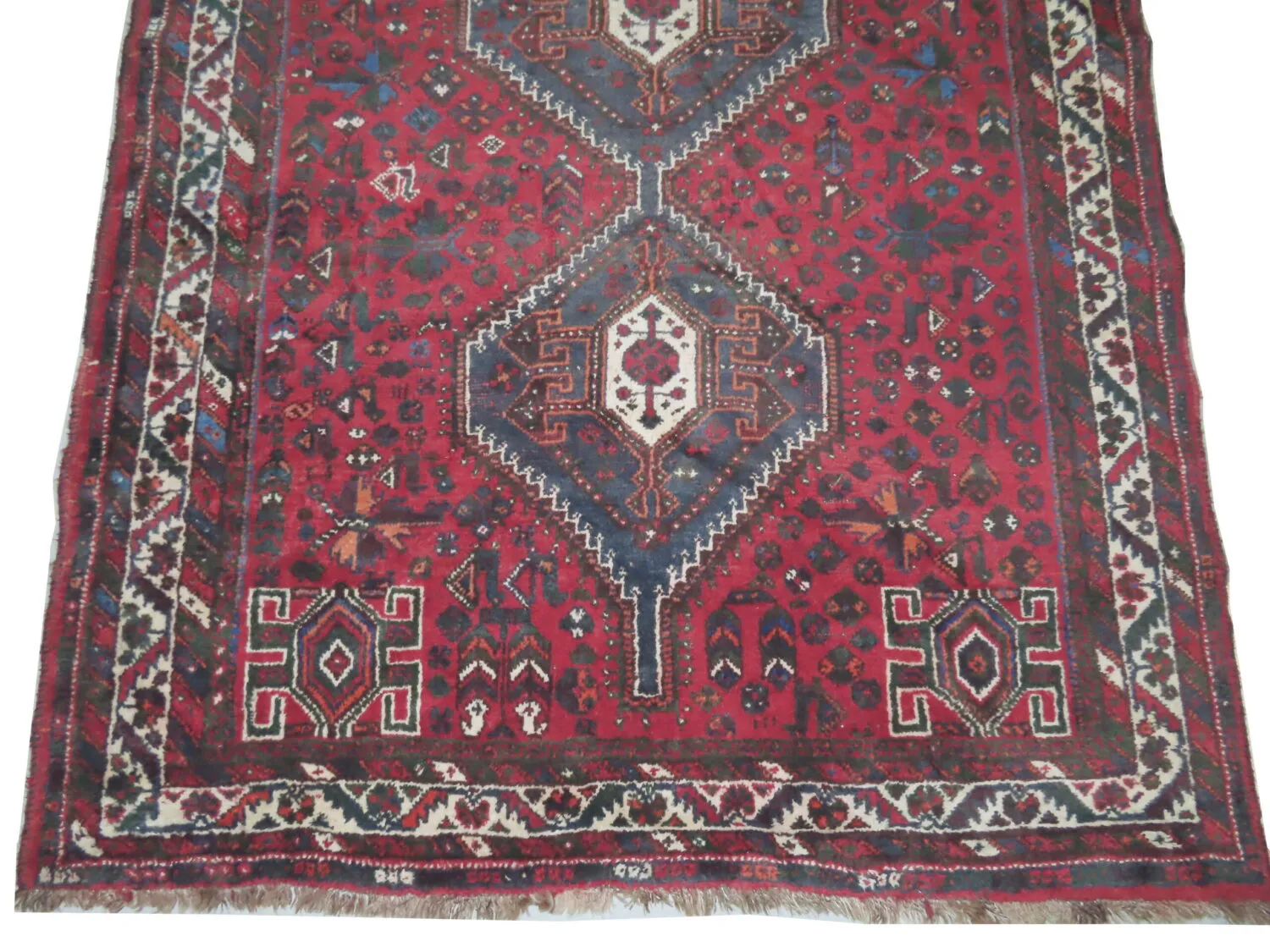 Shiraz Persian - Image 3