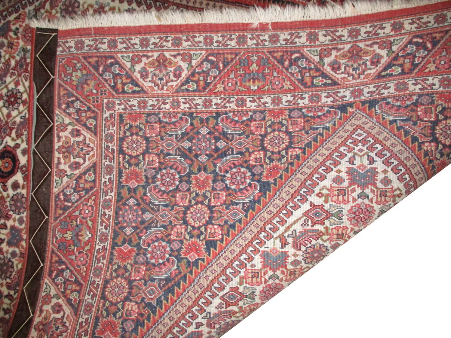 Bidjar Persian - Image 3
