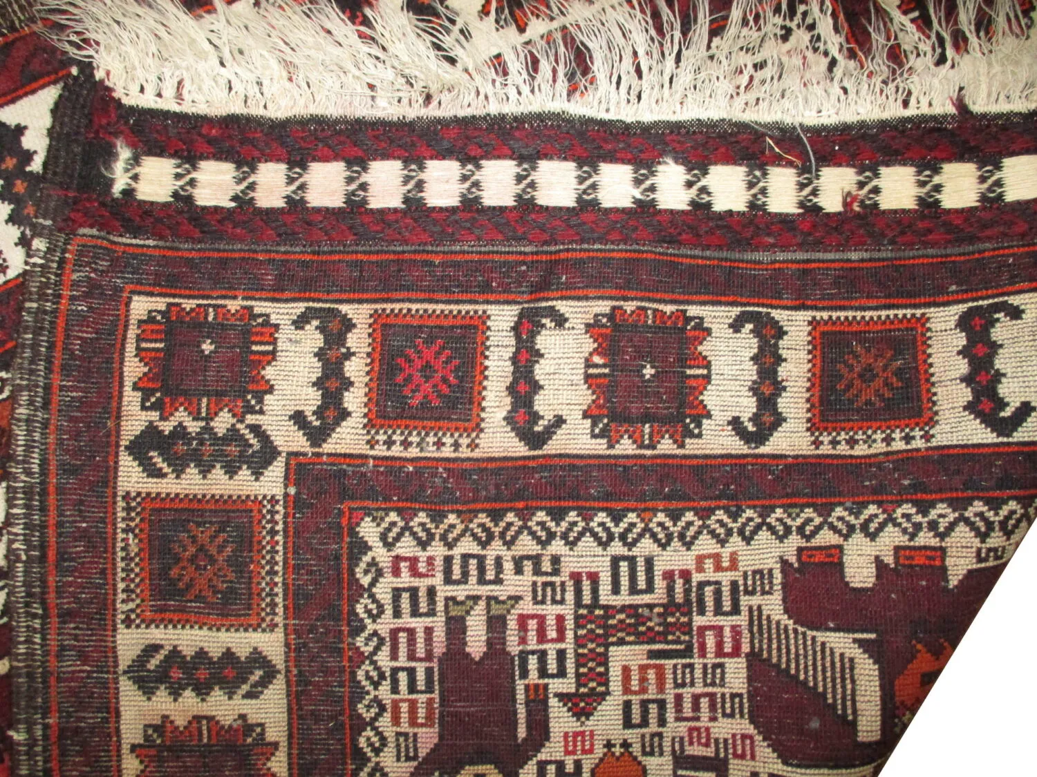 Belutsch Persian - Image 3