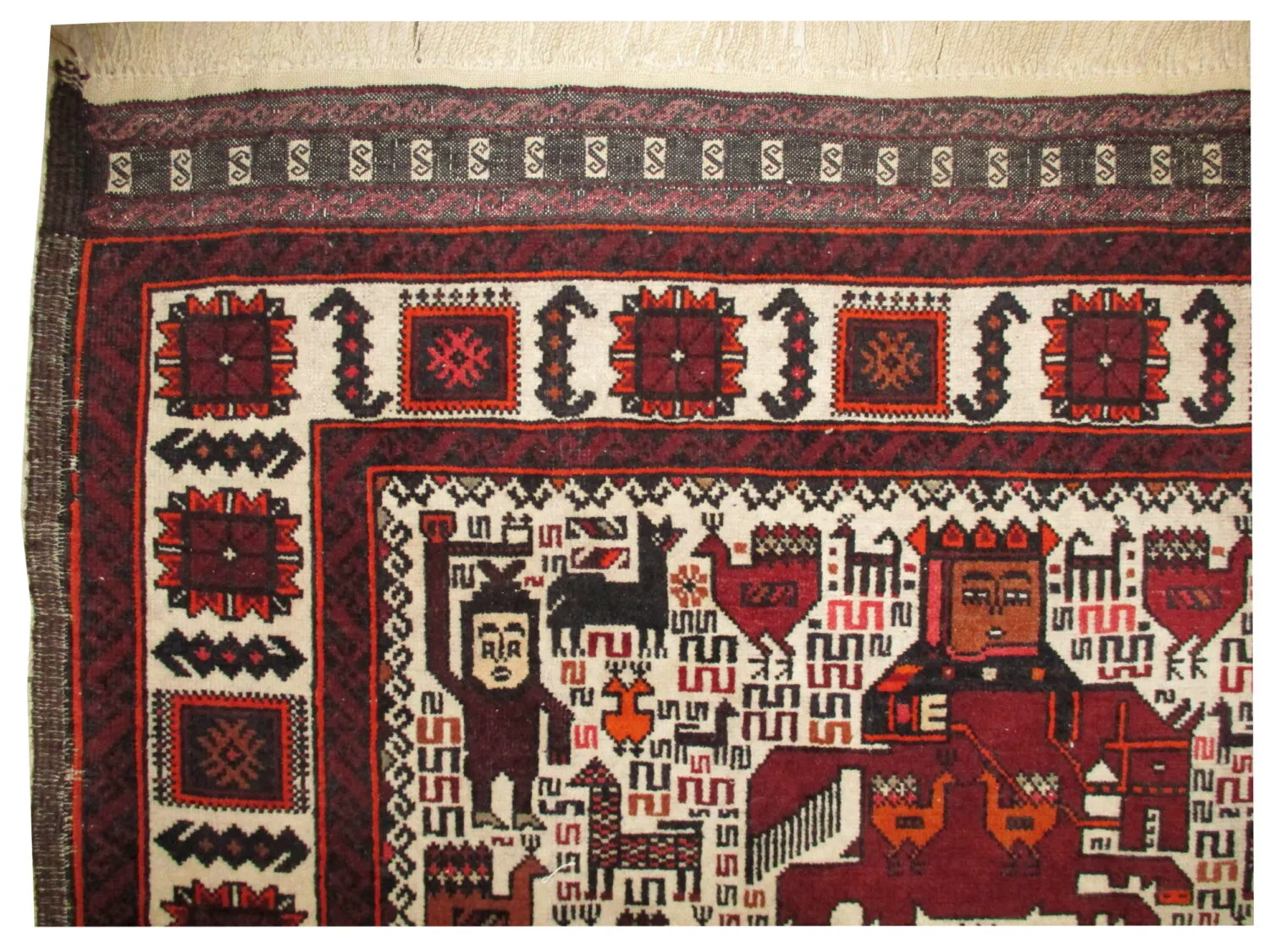 Belutsch Persian - Image 4
