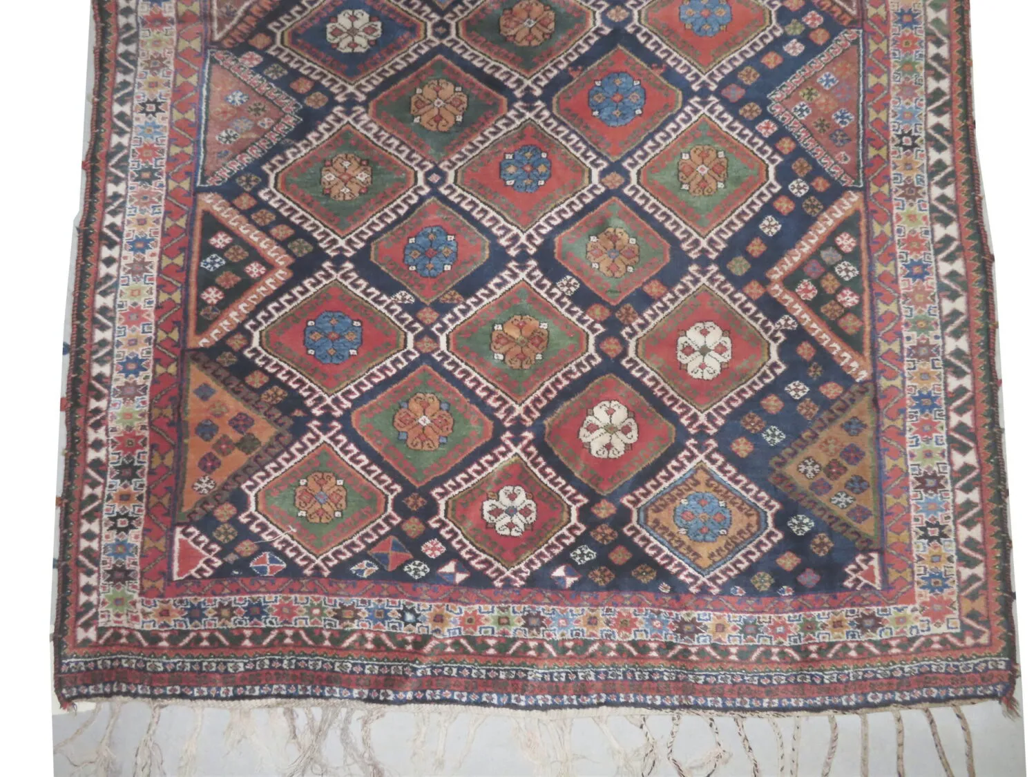Louri Persian - Image 3
