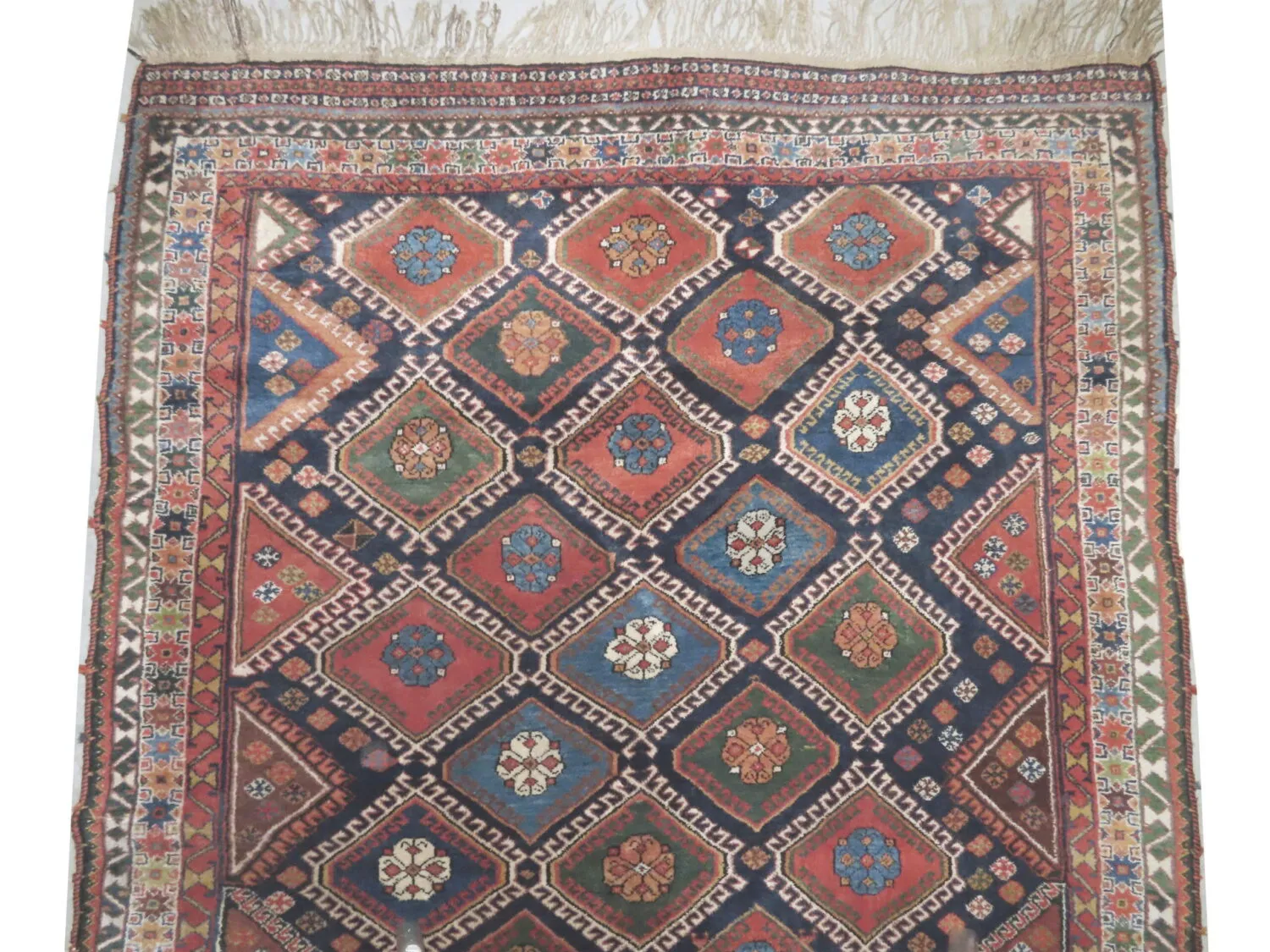 Louri Persian - Image 2