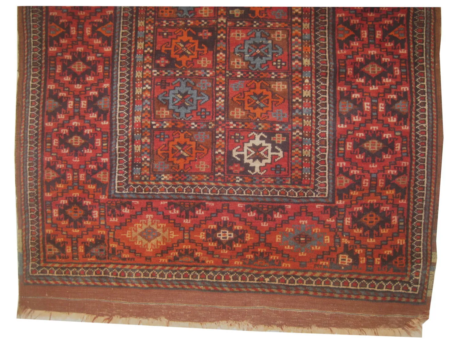 Gutschan Kurd Persian - Image 2