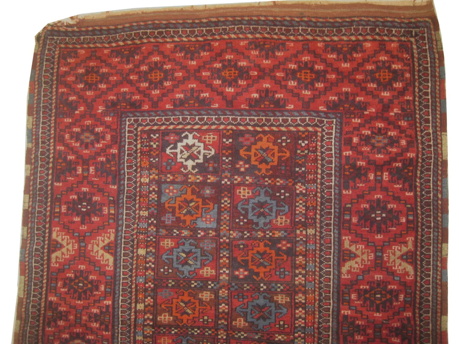 Gutschan Kurd Persian - Image 3