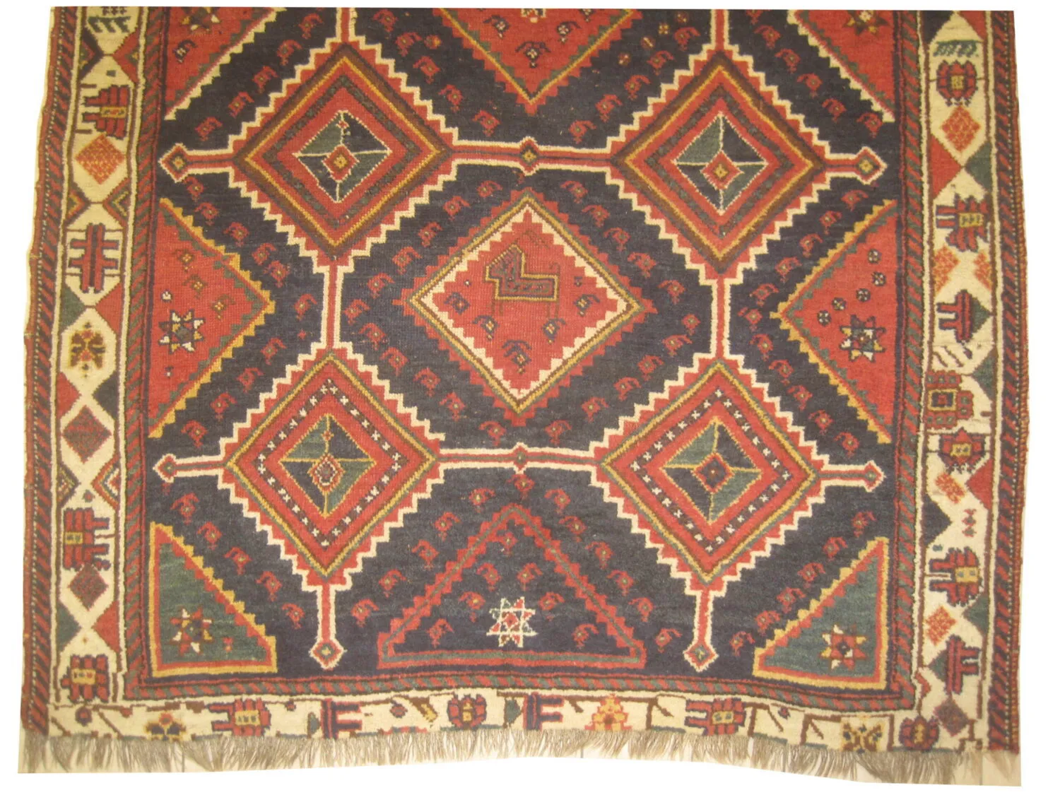Louri Persian - Image 3