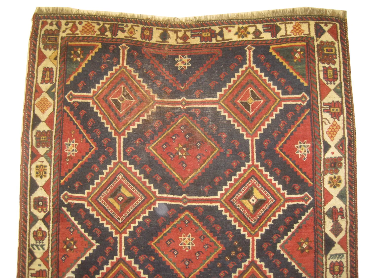 Louri Persian - Image 2