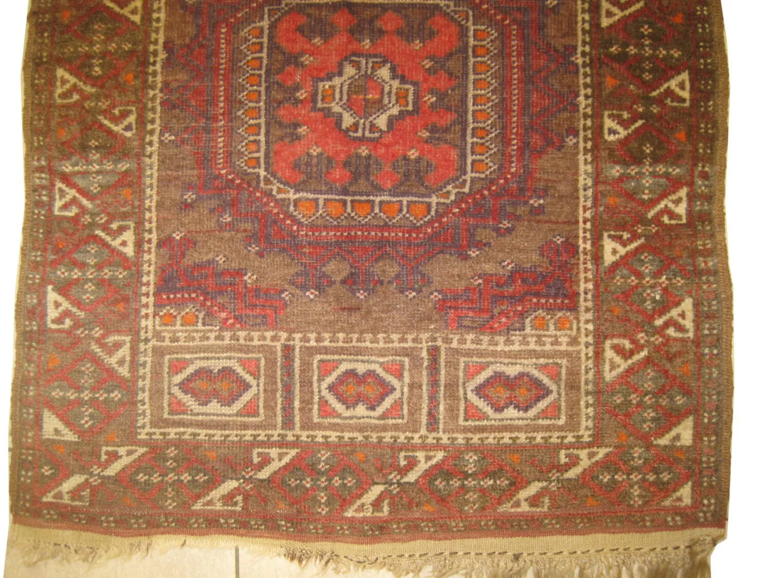 Belutsch Persian - Image 2