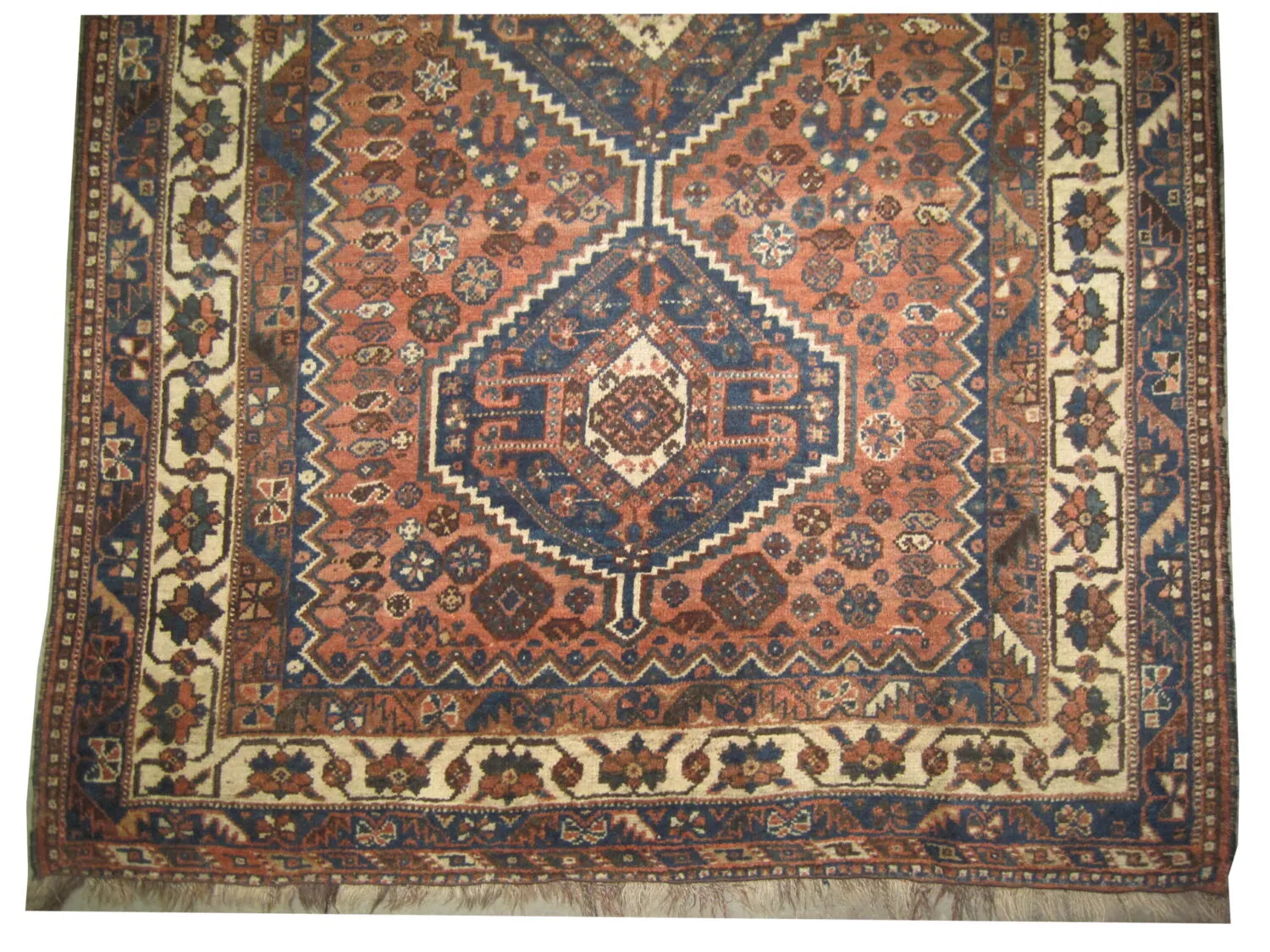 Shiraz Persian - Image 3