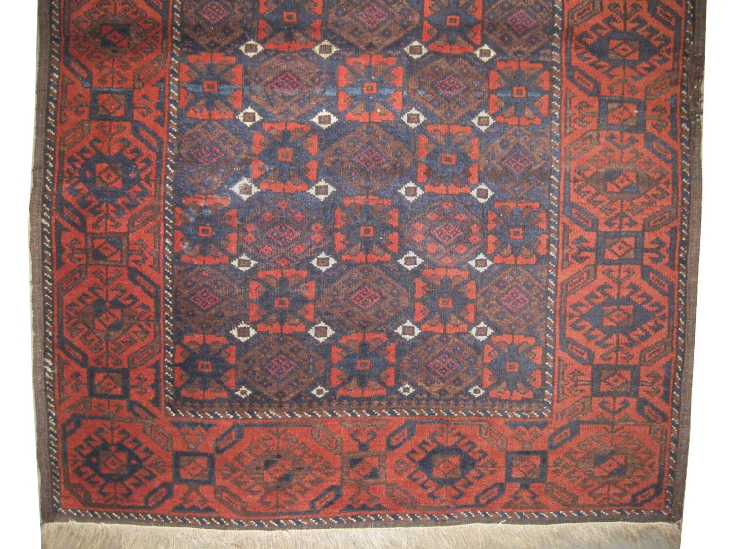 Belutsch Persian - Image 2