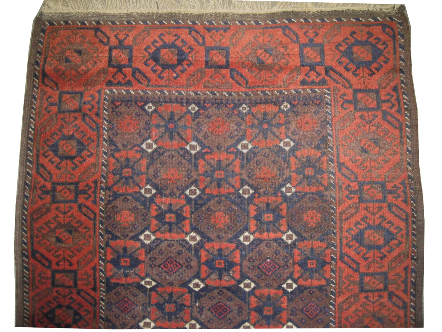 Belutsch Persian - Image 3
