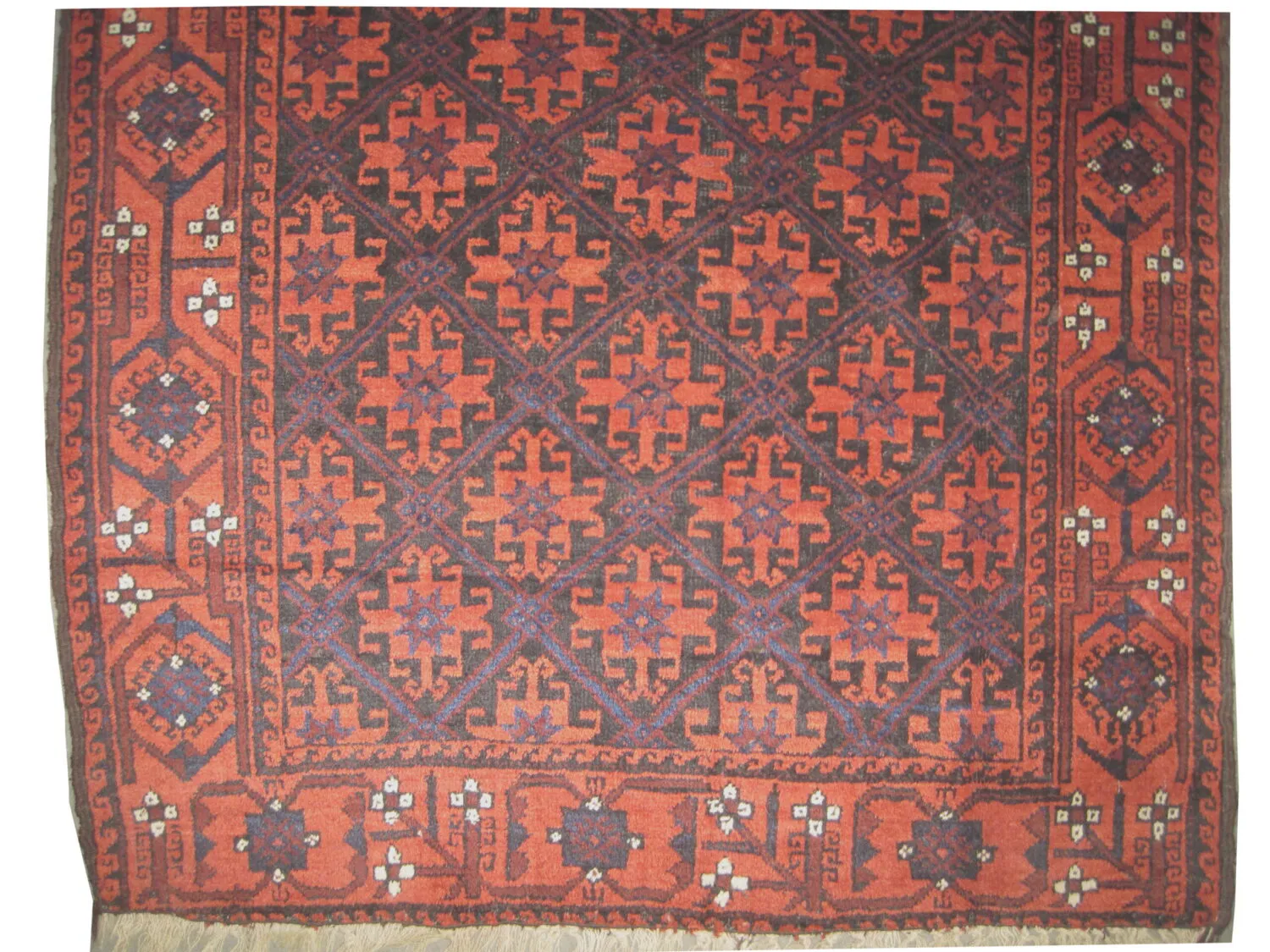 Belutsch Persian - Image 3