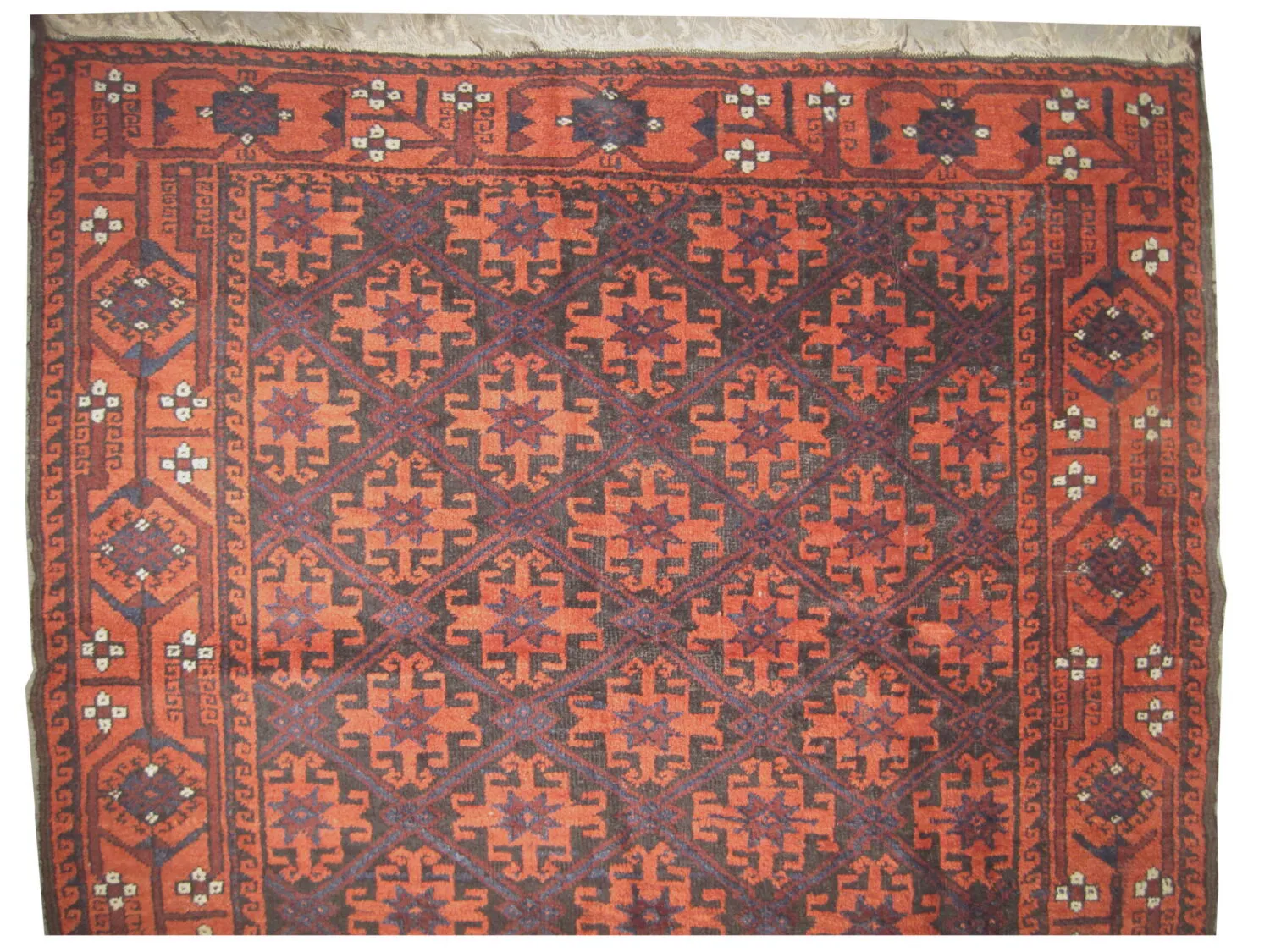 Belutsch Persian - Image 2