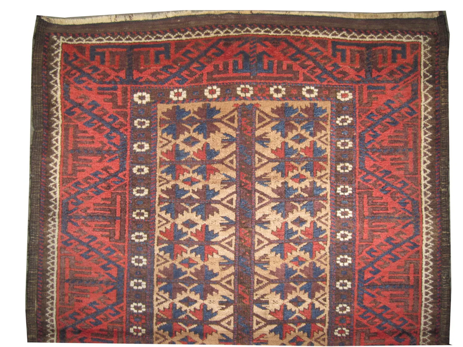 Belutsch Persian - Image 3