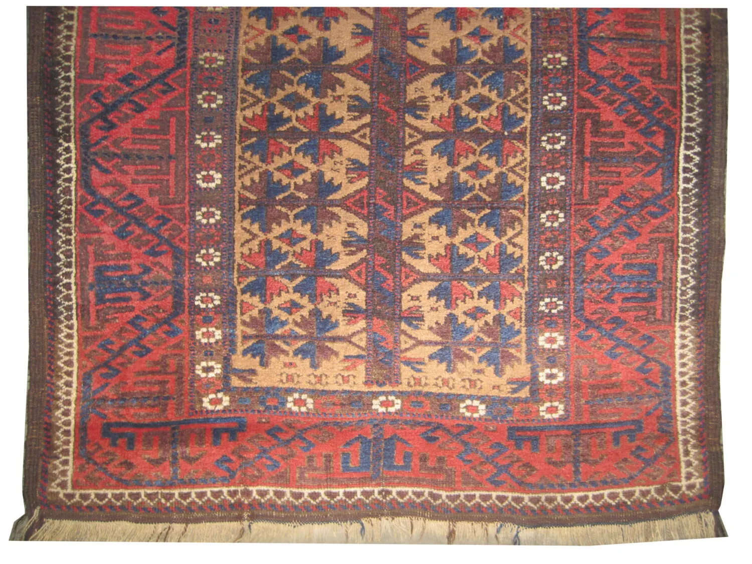 Belutsch Persian - Image 2
